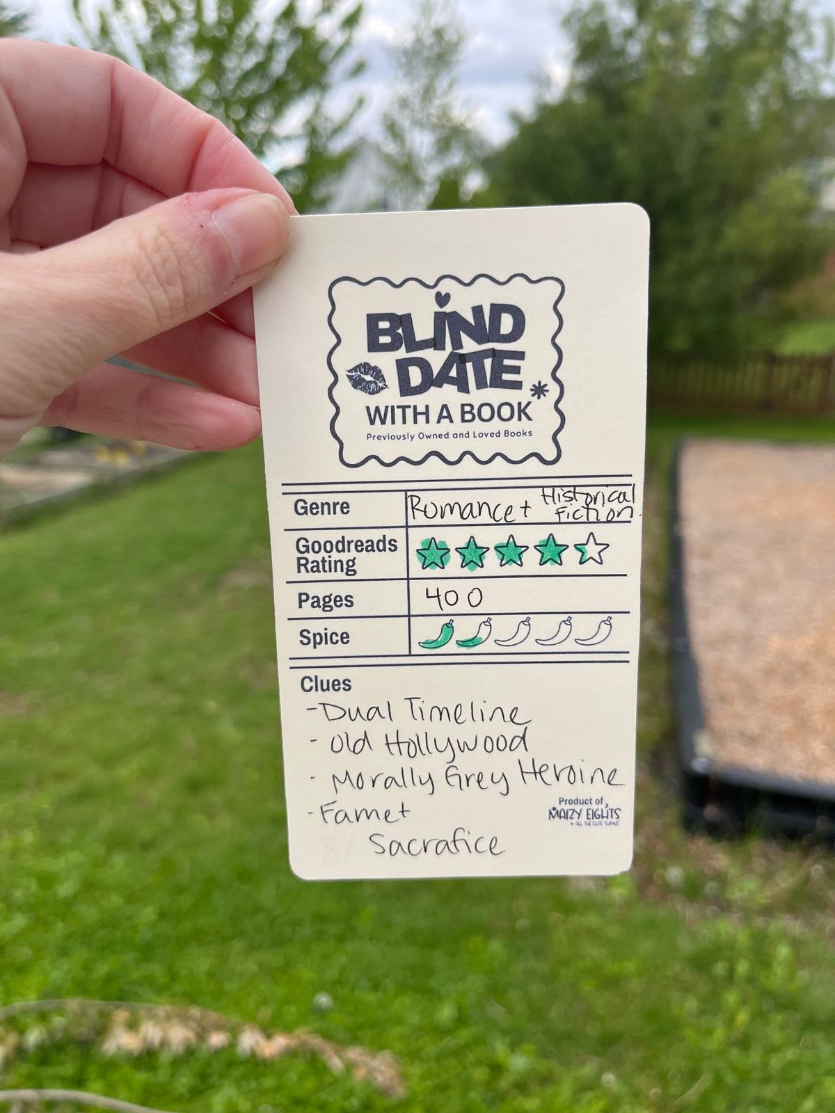 Blind Date with a Book - Romance/Historical Fiction