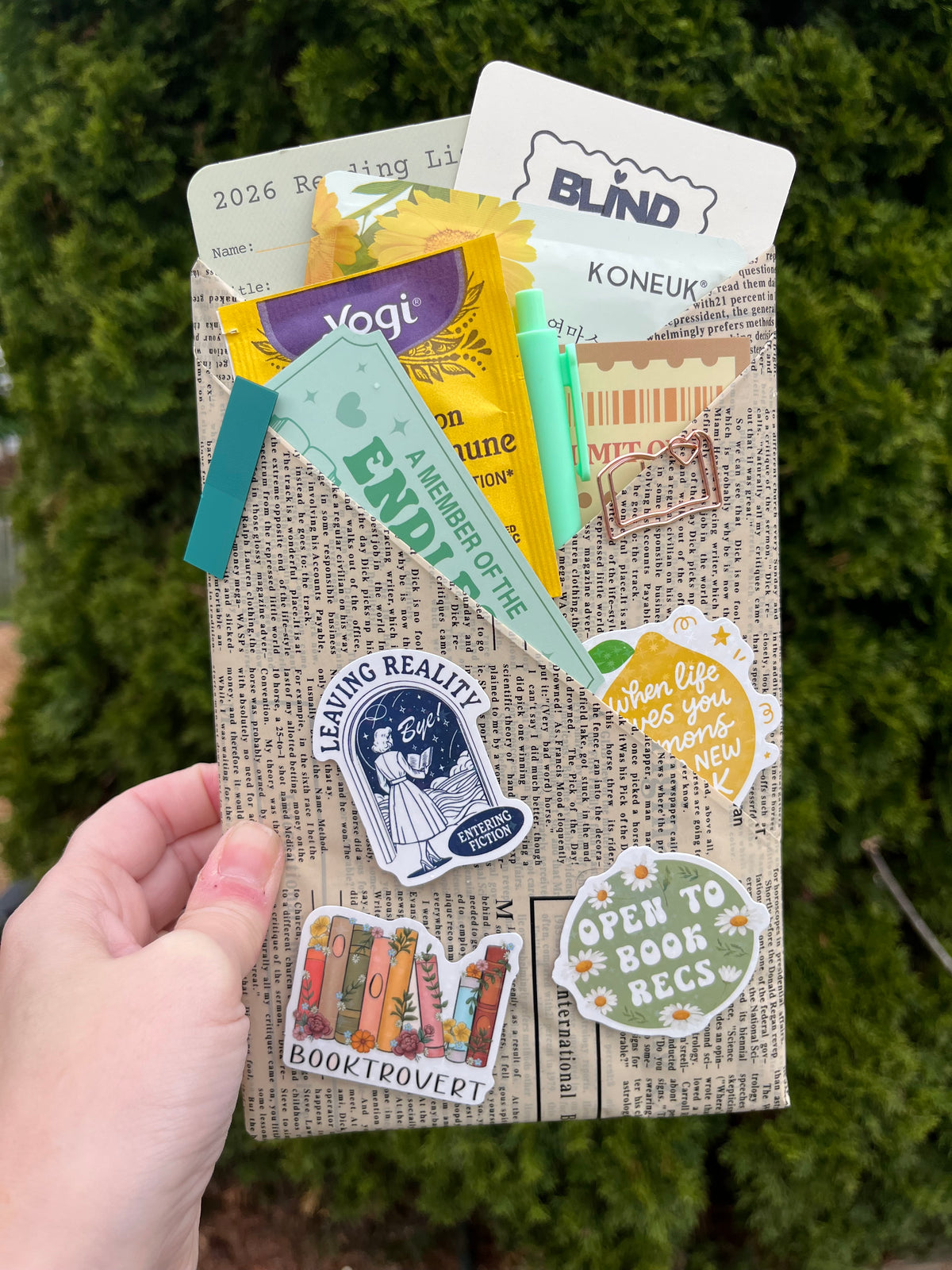 Blind Date with a Book - Romance/Historical Fiction